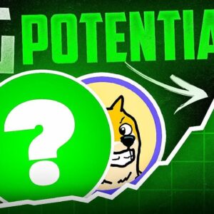 BEST 3 CRYPTO Presales to Buy Now?! (BIG Potential Coins!?)