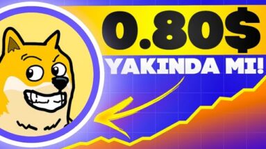 Dogecoin $0.80 Hedefi GERÇEK Mİ?! 100x Potansiyelli Presale (Maxi Doge)