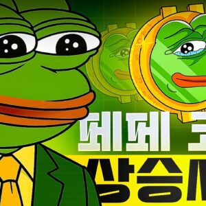 페페 코인의 상승 소식?!