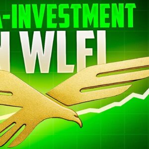 Hut 8 kauft 100 Millionen WLFI Tokens! 📈 Beginnt jetzt die FOMO Rallye 🤔