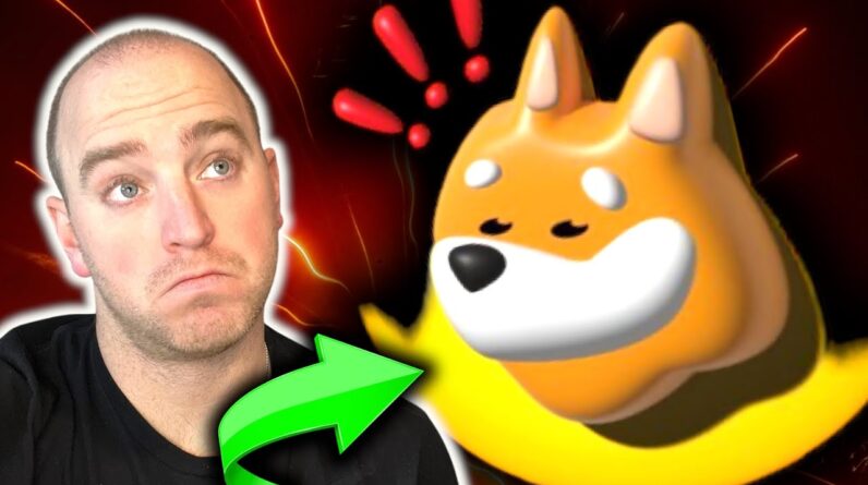 Is Bonk About to Explode in 2025?