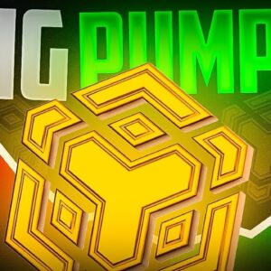 BNB PRICE PREDICTION, BNB NEWS! After Liquidation New Altcoin Rally on The Horizon?