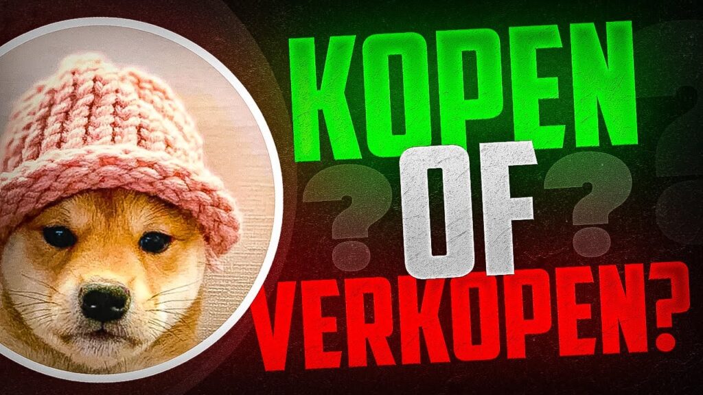 WIF NAAR NUL?! 📉 Dogwifhat Prijsvoorspelling & Waarom wij (NOG) niet verkopen!