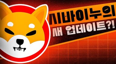 시바 이누의 새로운 업데이트 소식은?!