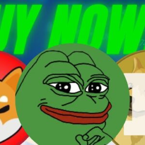 BEST 6 MEME COINS TO BUY NOW! (ALT SEASON?) BEST CRYPTO TO BUY IN DECEMBER! 10X TO 50X POTENTIAL!!
