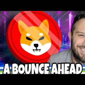 Shiba Inu Coin Could Experience A Bounce According To This Technical Analysis!