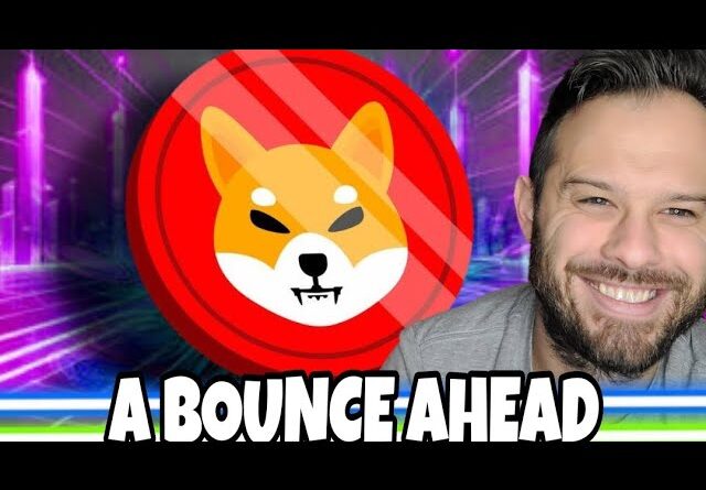 Shiba Inu Coin Could Experience A Bounce According To This Technical Analysis!