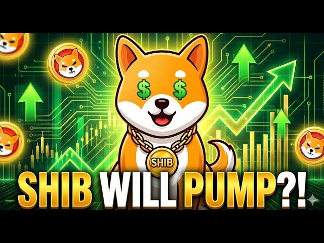 WILL SHIBA INU REVERSE?! SHIB PRICES ARE DOWN! BUY THE DIP?! SHIBA INU PRICE PREDICTION