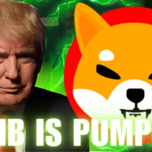 SHIBA INU IS PUMPING!! (BURN RATES SKYROCKETING!) BUY SHIB NOW?! BULLISH SHIBA INU PRICE PREDICTION