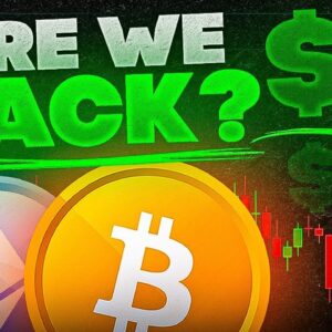 WHY IS CRYPTO PUMPING TODAY? (Crazy Crypto News!)