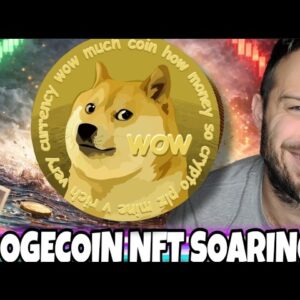 Dogecoin NFTs Become On Of The Best Performing NFT Projects OF 2026! Meme Coins Are Back??